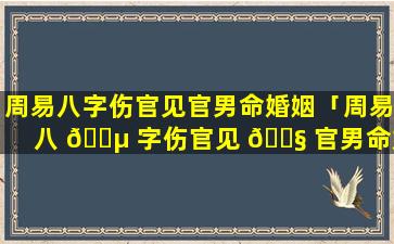 周易八字伤官见官男命婚姻「周易八 🌵 字伤官见 🐧 官男命婚姻怎么样」